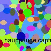 hauppauge capture filter wintv 2.4 xp