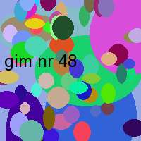 gim nr 48